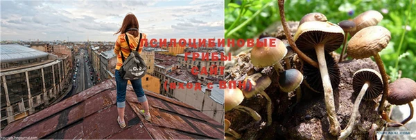 дурь Балахна