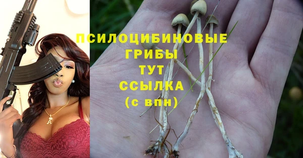 мдпв Балабаново